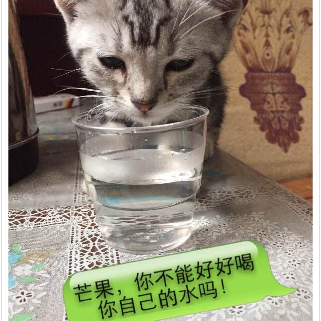 哪里可以制作南达科他州